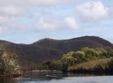 Melaleuca Creek  2