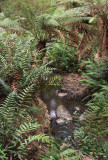 Mavista walk