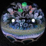 Jack Hanshaw Marbles and Crystals For Sale (Sold Out) 