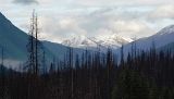 KOOTENAY N.P
