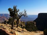 Grand Canyon South Rim  143.jpg