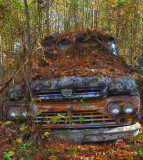 Old Car City_52.jpg