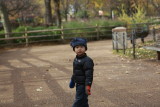 _S8A3933.JPG