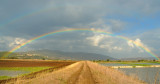 Rainbows - קשתות
