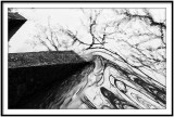 Curves lignes