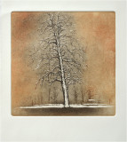 The tree in the snow