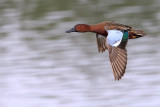 IMG_0109 copy.jpg