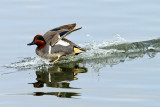 IMG_0188 copy.jpg