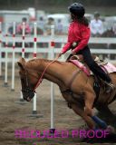IMG_7285p8x10.jpg