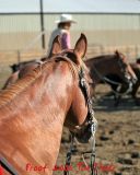 IMG_9051a.jpg