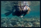 Snorkel break continues on the shallow reef, near the Manta Dive spot