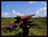 WWII Japanese gun/cannon