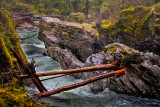 Logs, Little Qualicum Falls