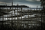 Craig Bay, Parksville, Vancouver Island