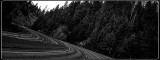 cruising the curve