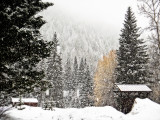 Snowing in Glacier Wilderness Resort