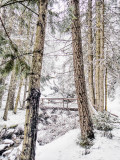 Bridge, frozen fall and creek