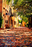 CHARLESTON, SOUTH CAROLINA. COBBLESTONE STREET-2212.jpg