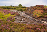 ISLE OF SKYE_7505.jpg
