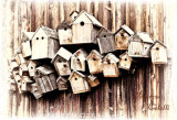 BIRDHOUSES IN FUSSEN, GERMANY_5021.jpg