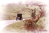 AMISH MISTY MORNING_2792.jpg