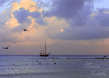PALM BEACH SUNRISE-0846.jpg