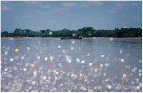 Canoe through spray.