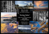 Spring PhotoWorkshop in Tahoe, California