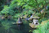 IMG_9504 - Japanese Gardens