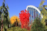 IMG_1218 - Chihuly Garden