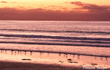 La Jolla Sunset
