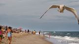 NJ shore beach scene 2596