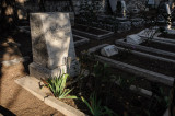 Grave of Rolla Floyd, Alliance Church cemetery