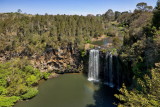 Dorrigo IMG_4502.jpg