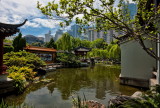 Chinese Garden of Friendship Sydney IMG_5621.jpg