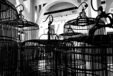 DSC04615.jpg