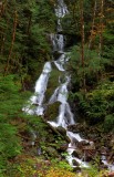 Waterfall near Glacier, WA, HDR image.