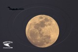 _MG_9453 jet and moon.jpg