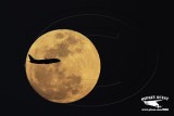 _MG_9481 jet and moon.jpg