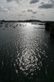 IMG_6367.jpg