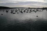 IMG_6542.jpg