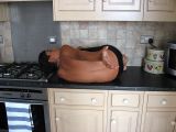 IMG_1230.jpg