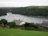 IMG_1478.jpg