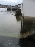 IMG_1496.jpg