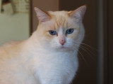 Paul 2012 12 27 00016a.jpg