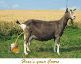 rf Poster Coors 2.jpg