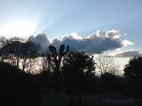 Later on the same evening