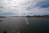 A Ria Formosa Junto à Praia de Faro
