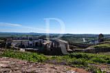 Forte de N. Sra. da Graça