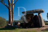 Anta de D. Miguel (MN)